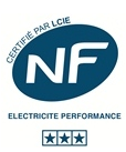 nf electricite performance