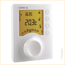 thermostat radio programmable